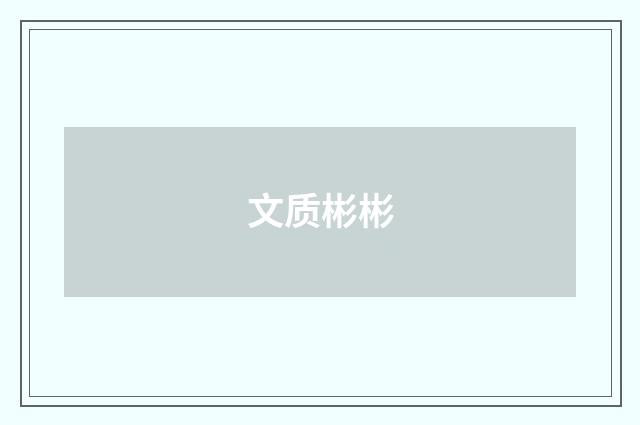 文质彬彬