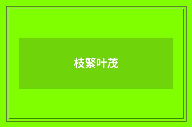 枝繁叶茂