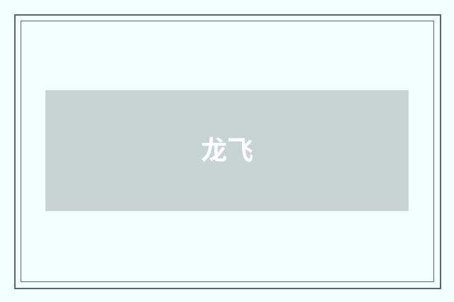 龙飞