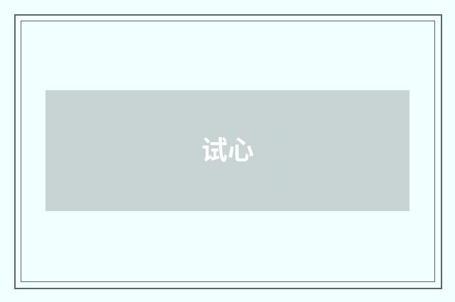 试心