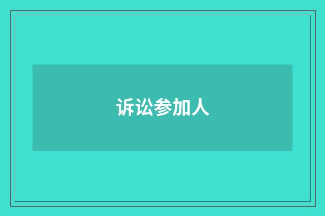 诉讼参加人