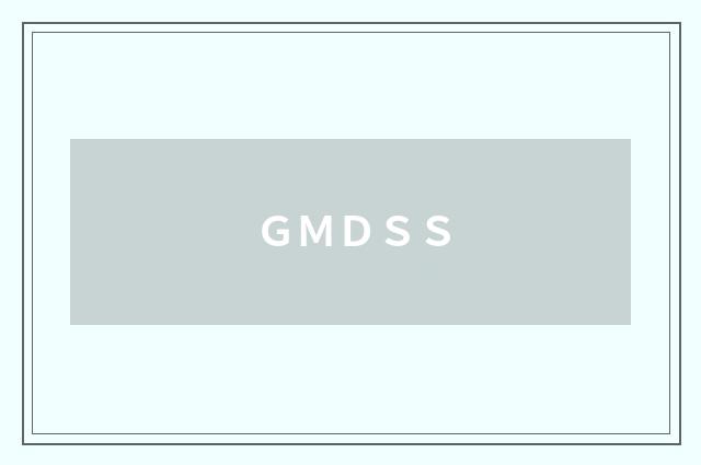 ＧＭＤＳＳ