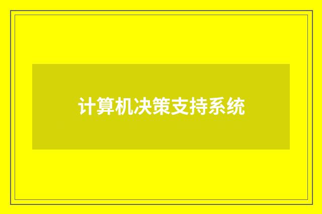 计算机决策支持系统
