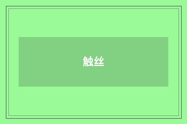 触丝