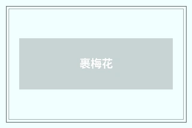 裹梅花