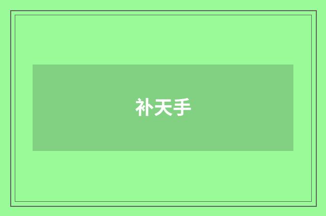 补天手