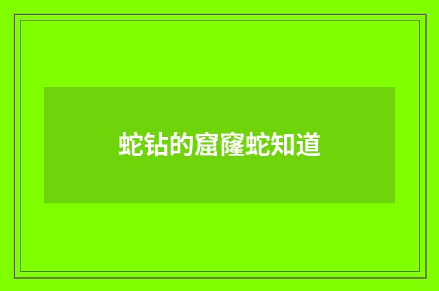 蛇钻的窟窿蛇知道