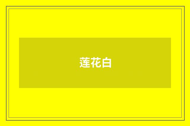 莲花白