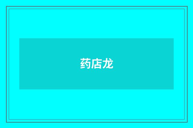 药店龙