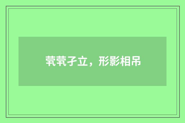 茕茕孑立，形影相吊