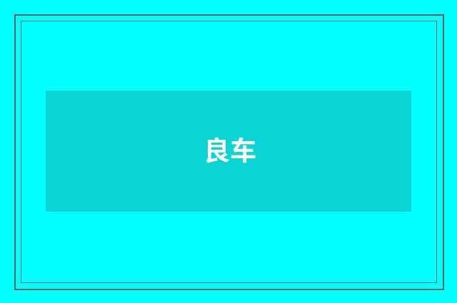 良车