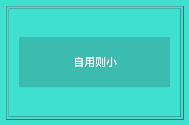 自用则小