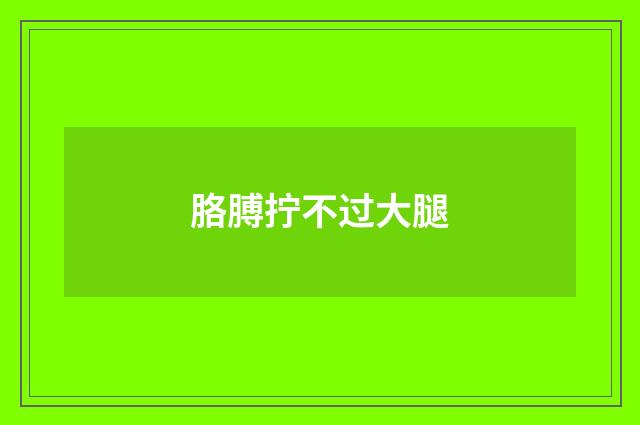 胳膊拧不过大腿