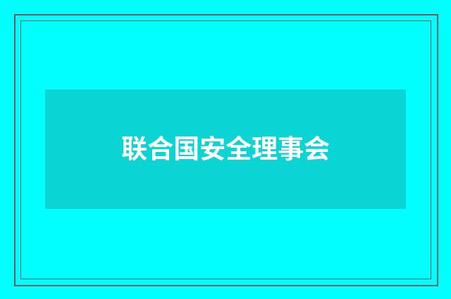 联合国安全理事会