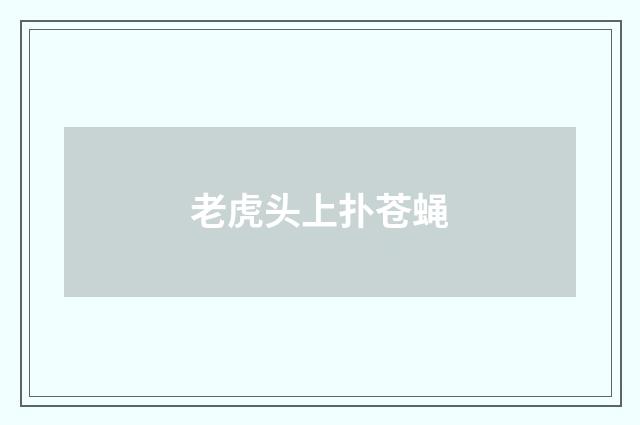 老虎头上扑苍蝇