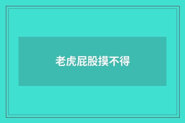 老虎屁股摸不得