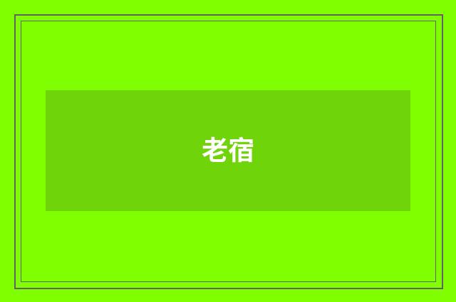 老宿