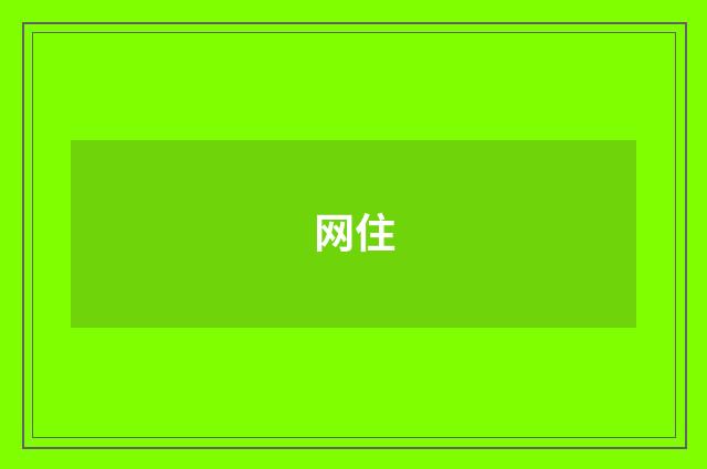 网住
