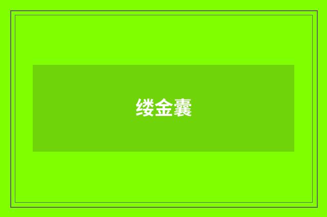 缕金囊