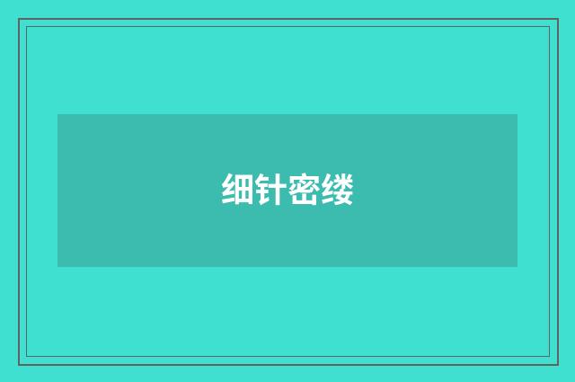 细针密缕