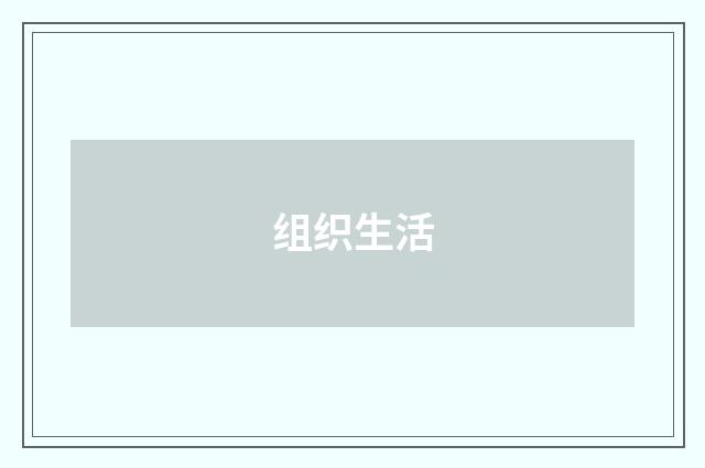 组织生活