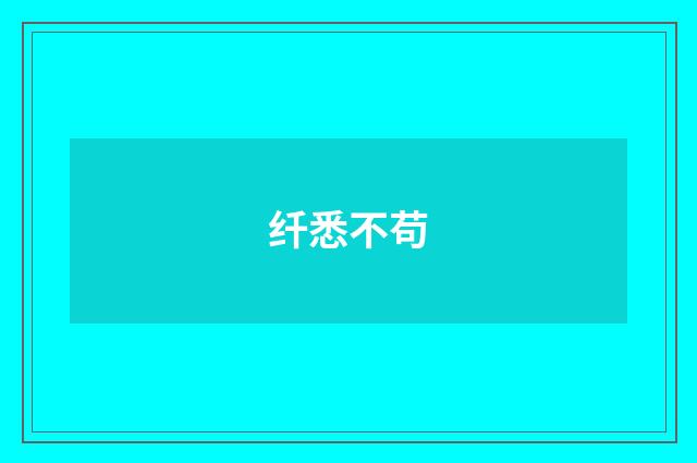 纤悉不苟