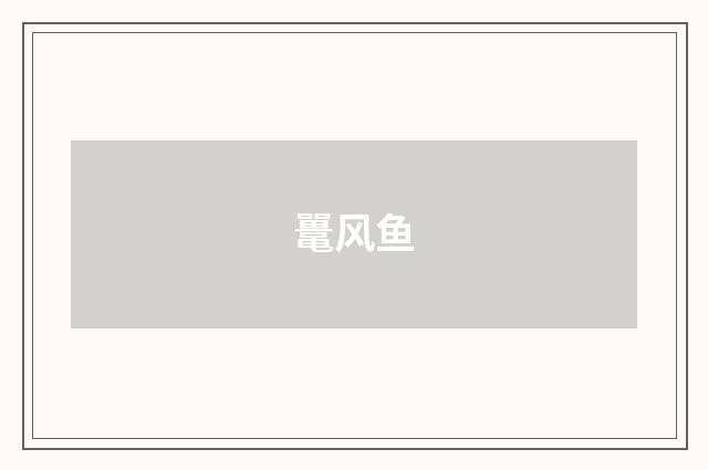 鼍风鱼