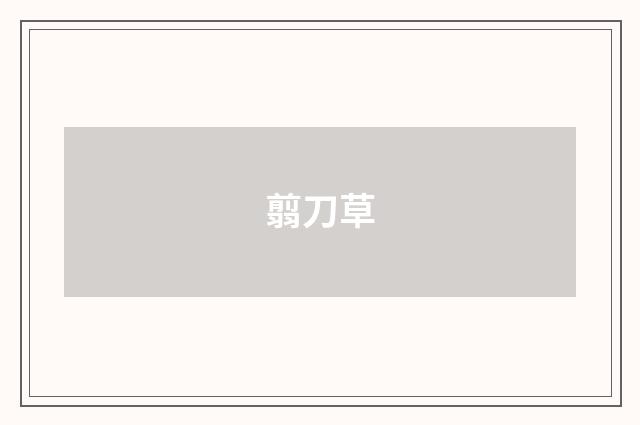 翦刀草