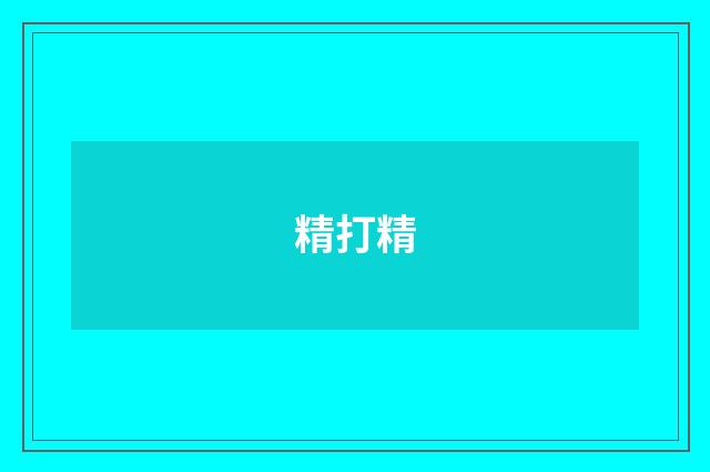 精打精