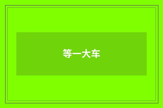 等一大车