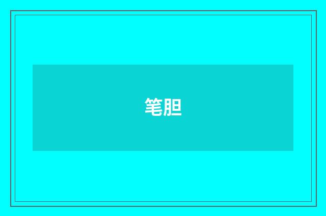 笔胆