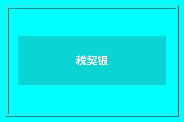 税契银