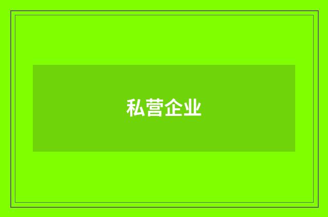 私营企业