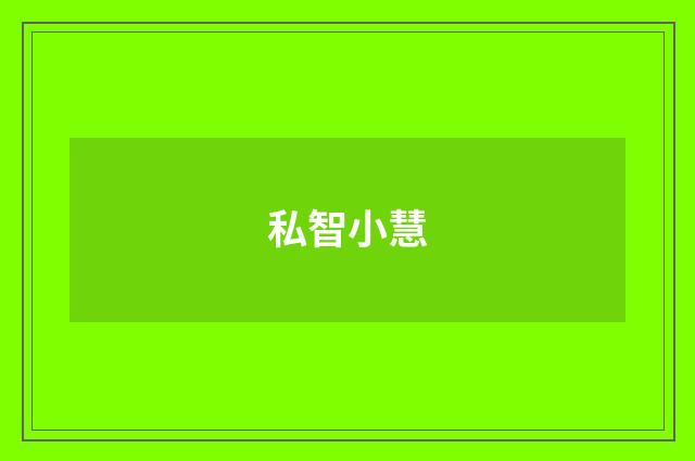 私智小慧