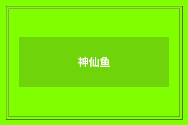 神仙鱼