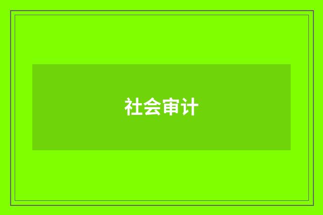 社会审计