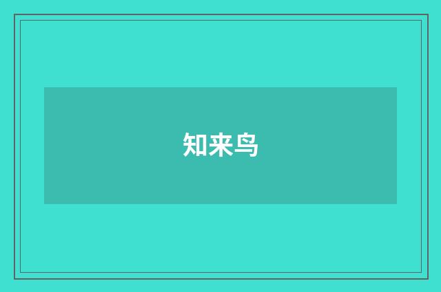知来鸟