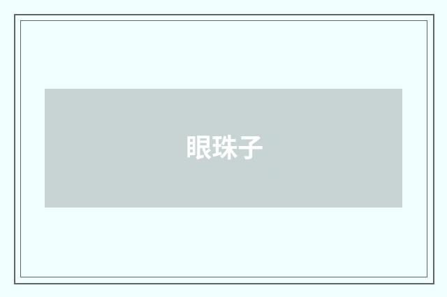 眼珠子