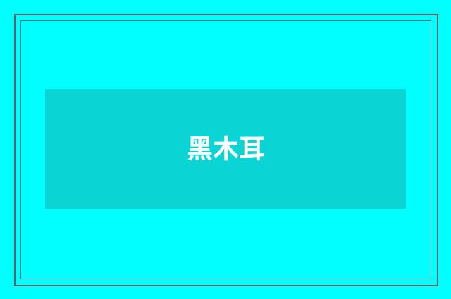 黑木耳
