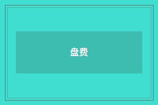 盘费