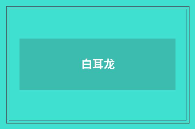白耳龙