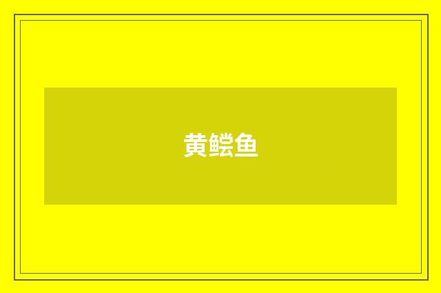 黄鲿鱼