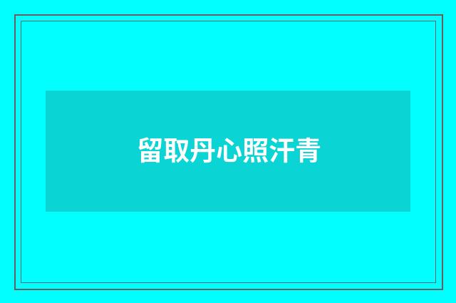 留取丹心照汗青