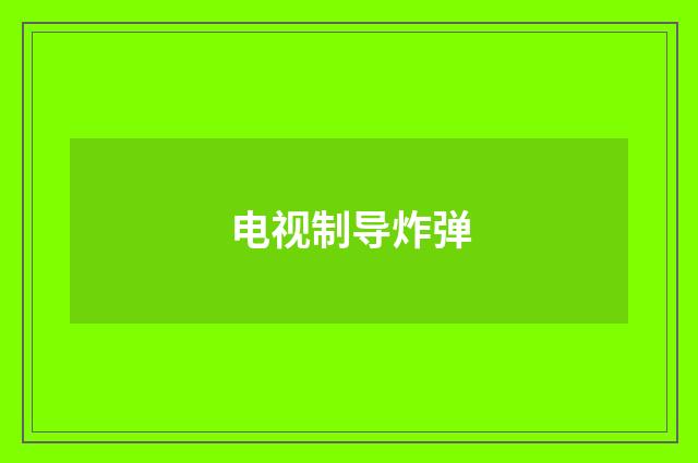 电视制导炸弹