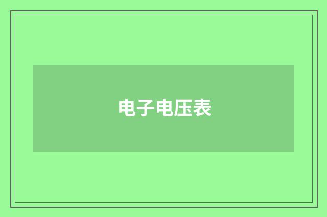 电子电压表