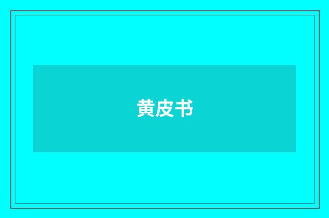 黄皮书
