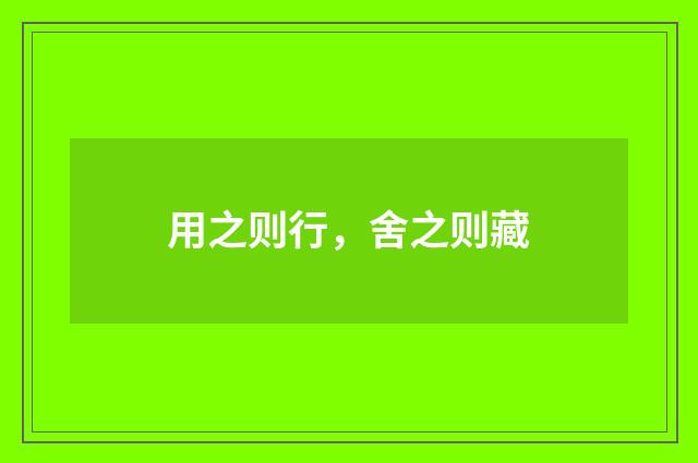 用之则行，舍之则藏