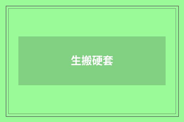 生搬硬套