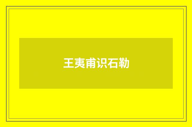 王夷甫识石勒