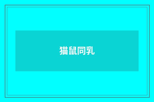 猫鼠同乳